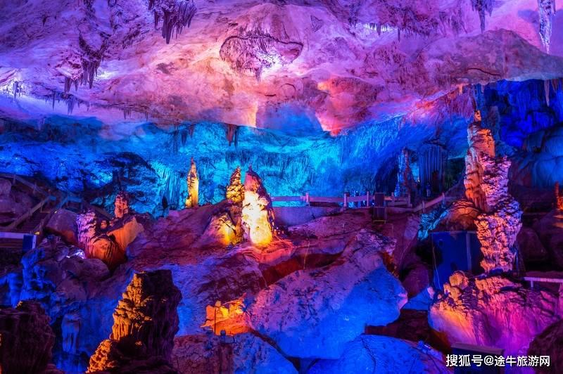 御龙在天